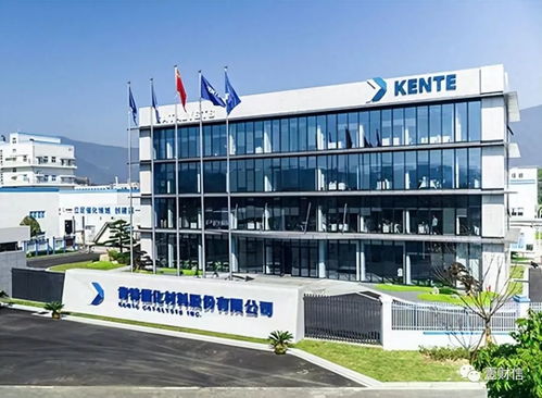 肯特催化戰略失衡 重銷售管理輕研發，技術開發人員薪酬雙標引關注